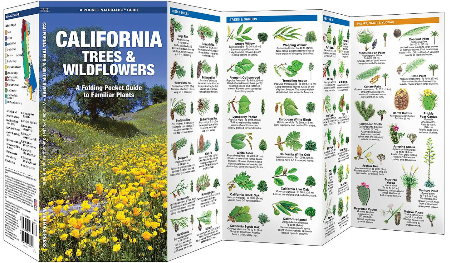 Pocket Naturalist: California Trees and Wildflowers: An Introduction to Familiar Species