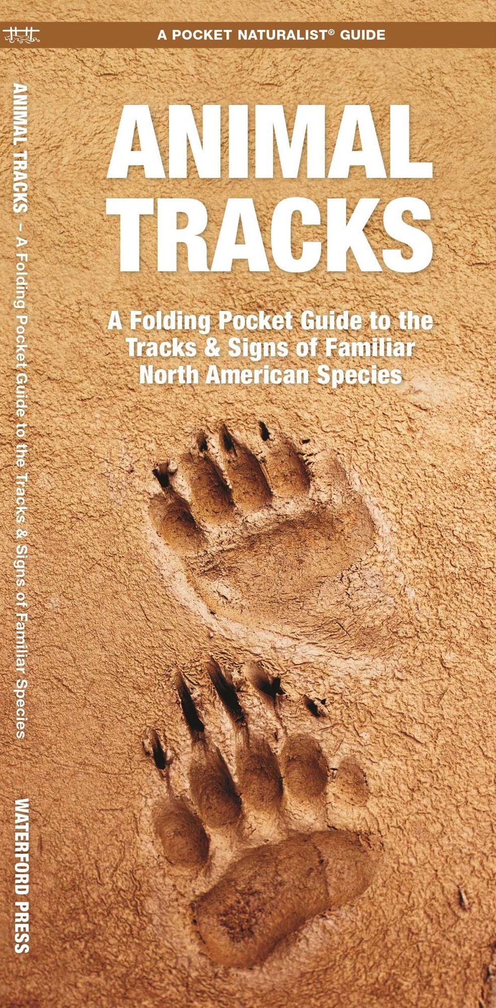 Animal Tracks