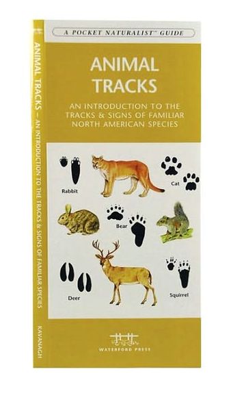 Animal Tracks