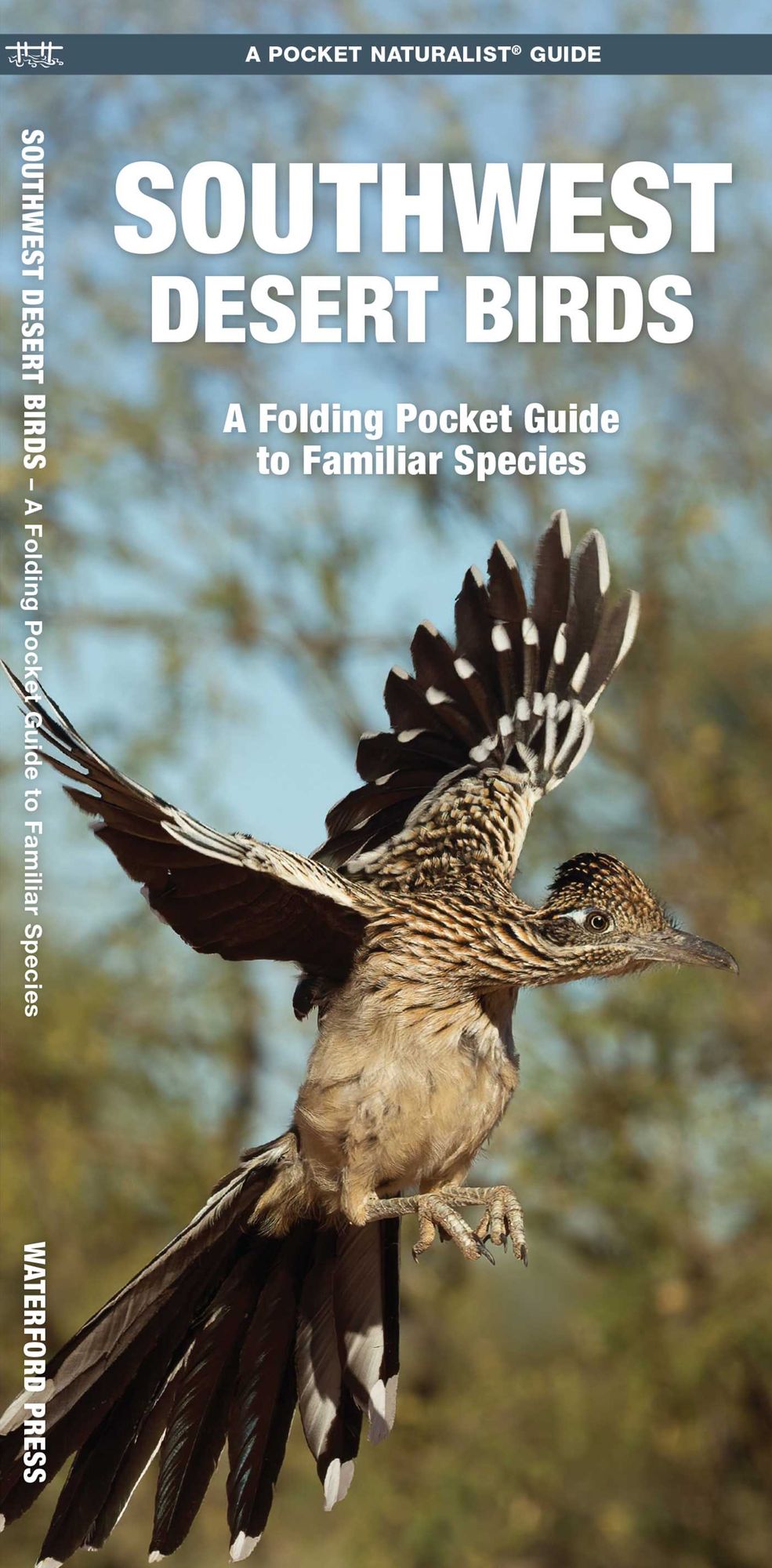 Pocket Naturalist: Southwestern Desert Birds