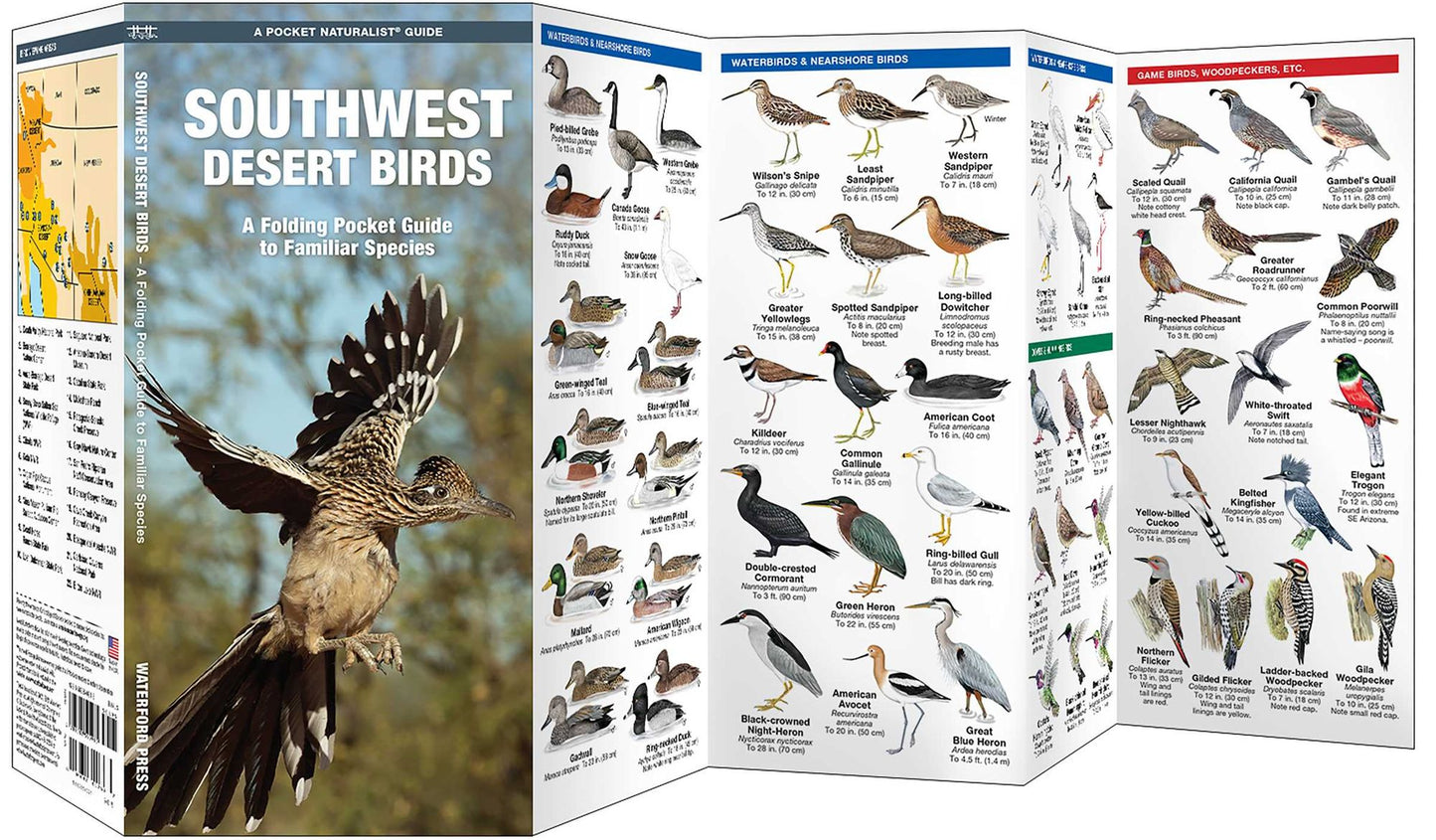 Pocket Naturalist: Southwestern Desert Birds