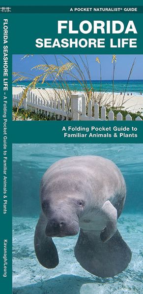 Florida Seashore Life: An Introduction to Familiar Plants and Animals
