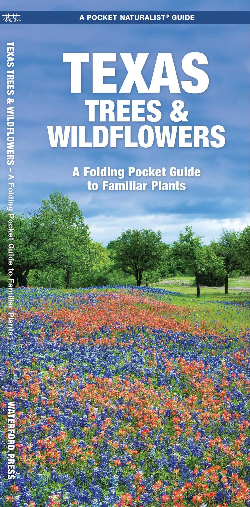 Texas Trees & Wildflowers