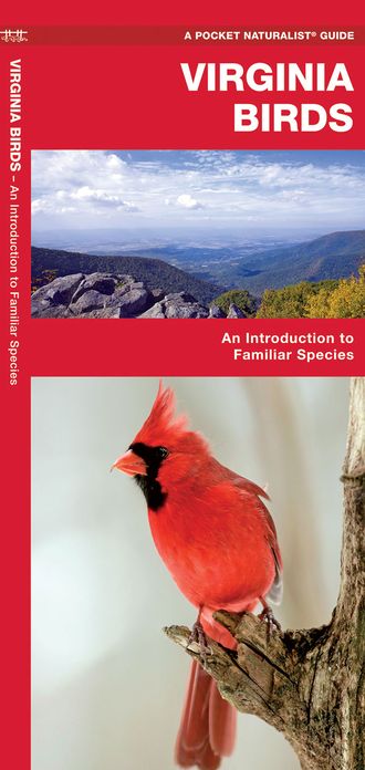Virginia Birds