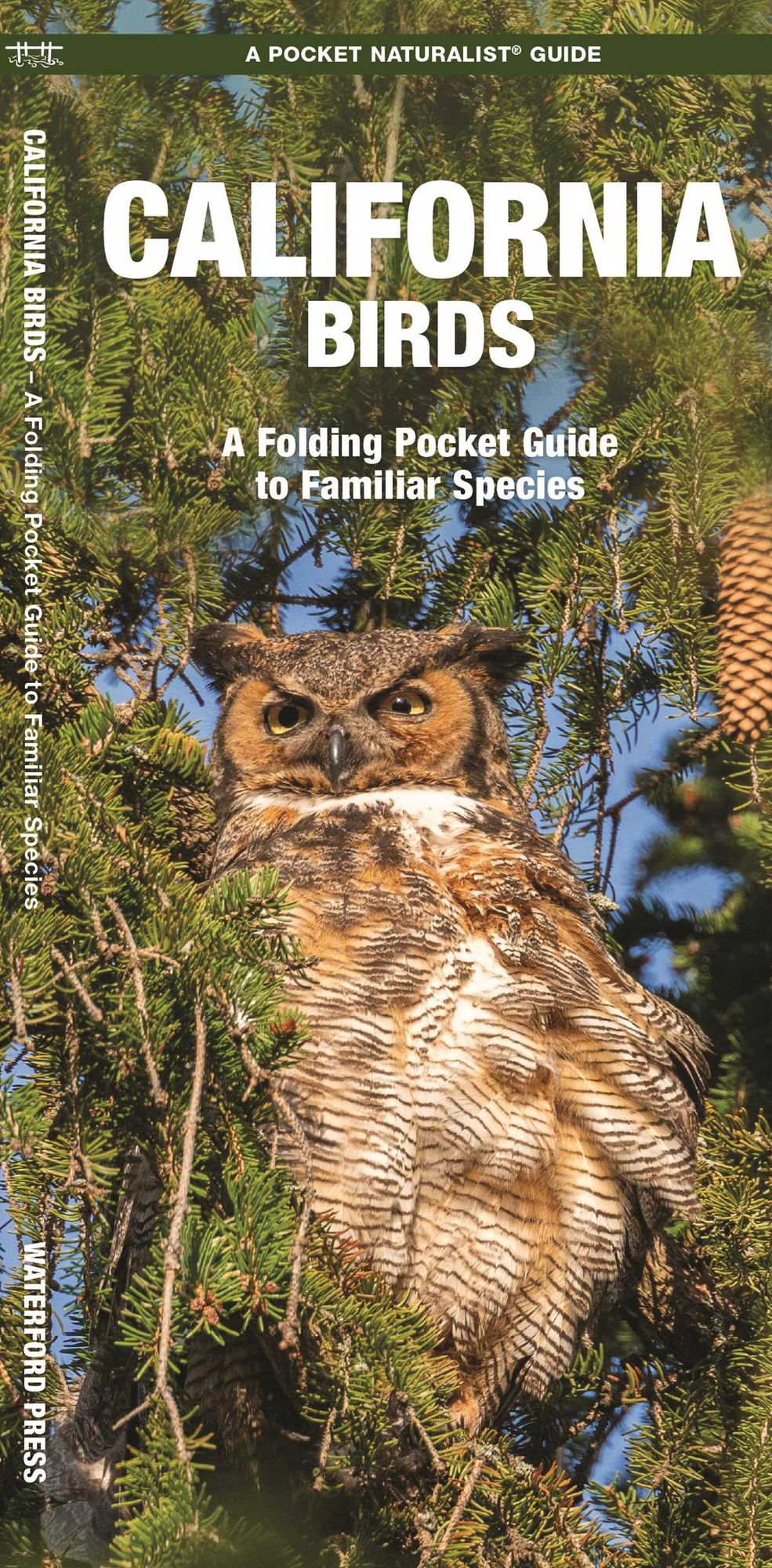 Pocket Naturalist: California Birds