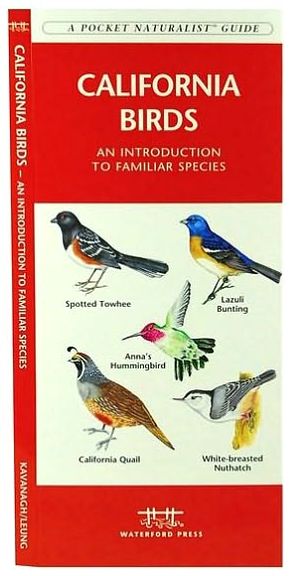 Pocket Naturalist: California Birds