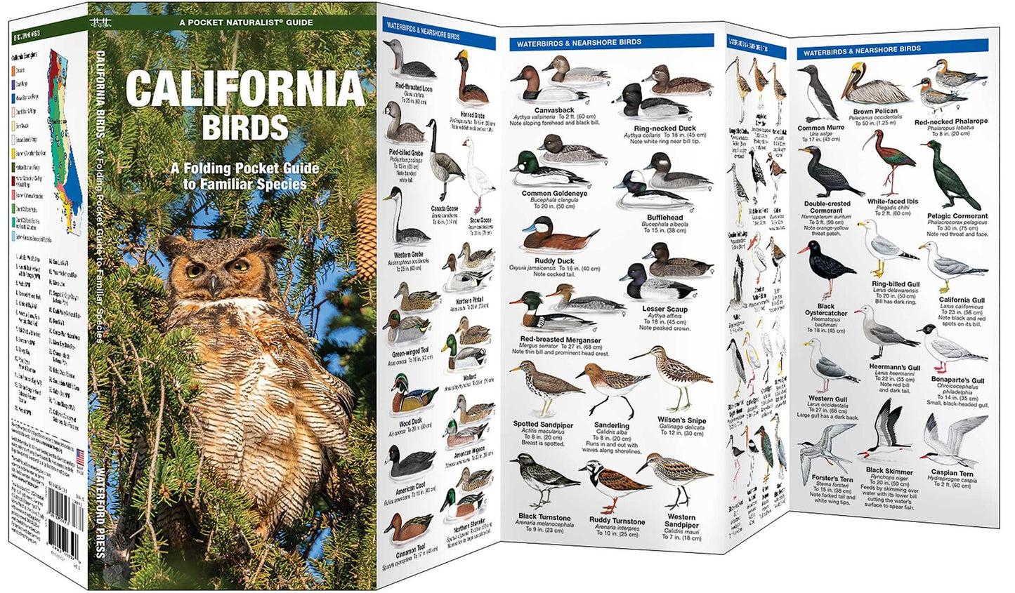 Pocket Naturalist: California Birds