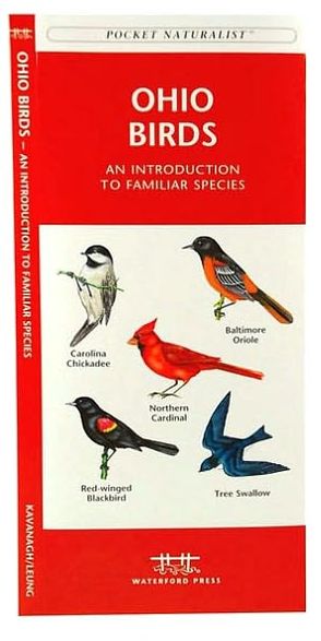 Ohio Birds