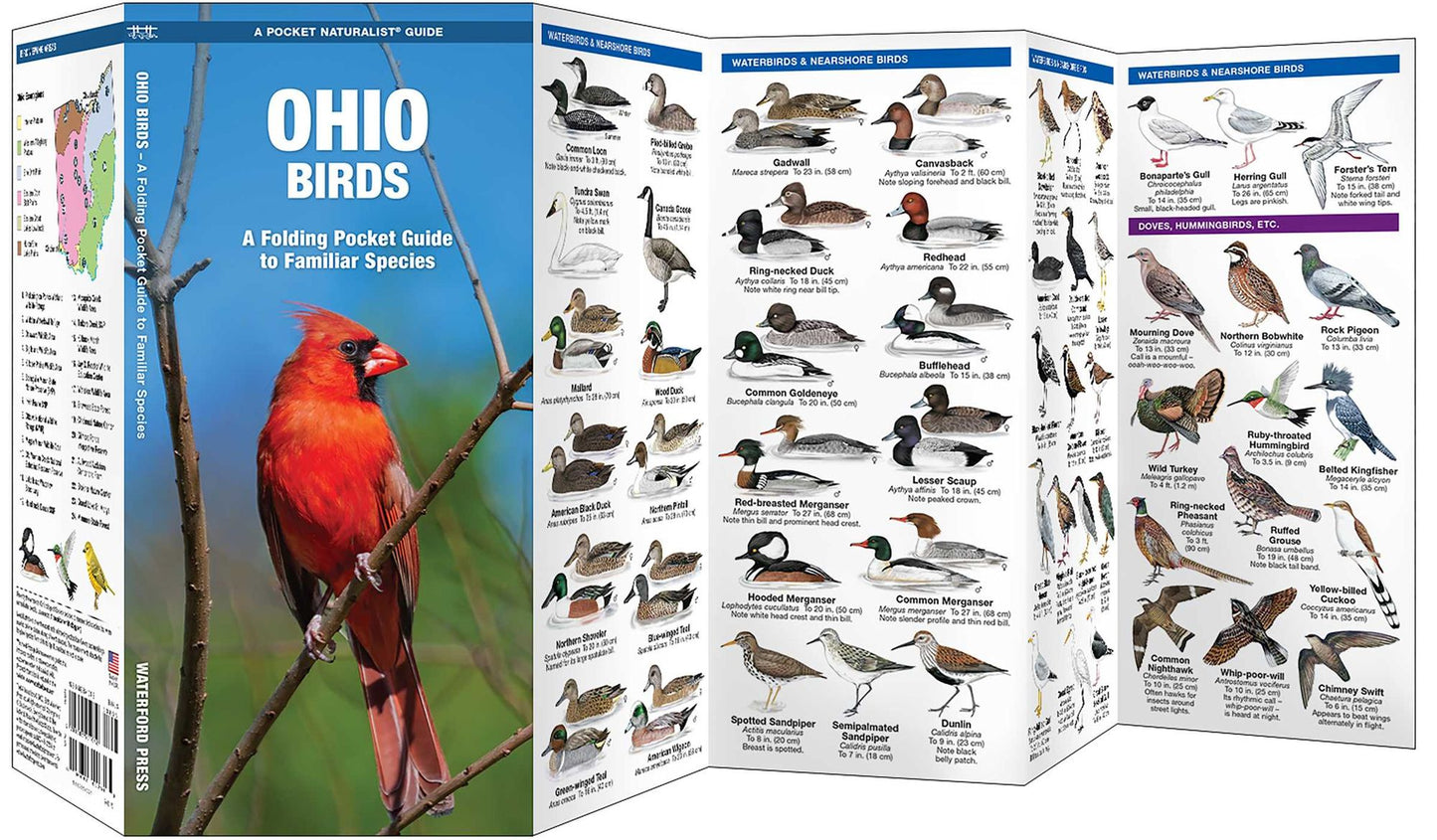 Ohio Birds