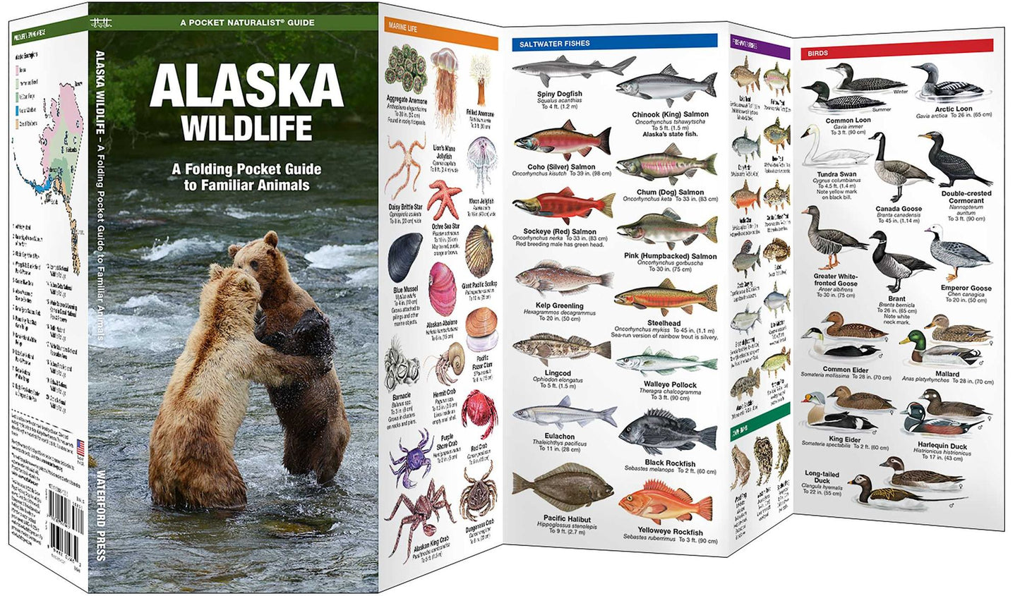 Pocket Naturalist Guide to Alaska Wildlife