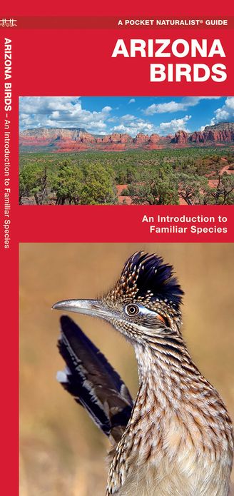 Pocket Naturalist: Arizona Birds