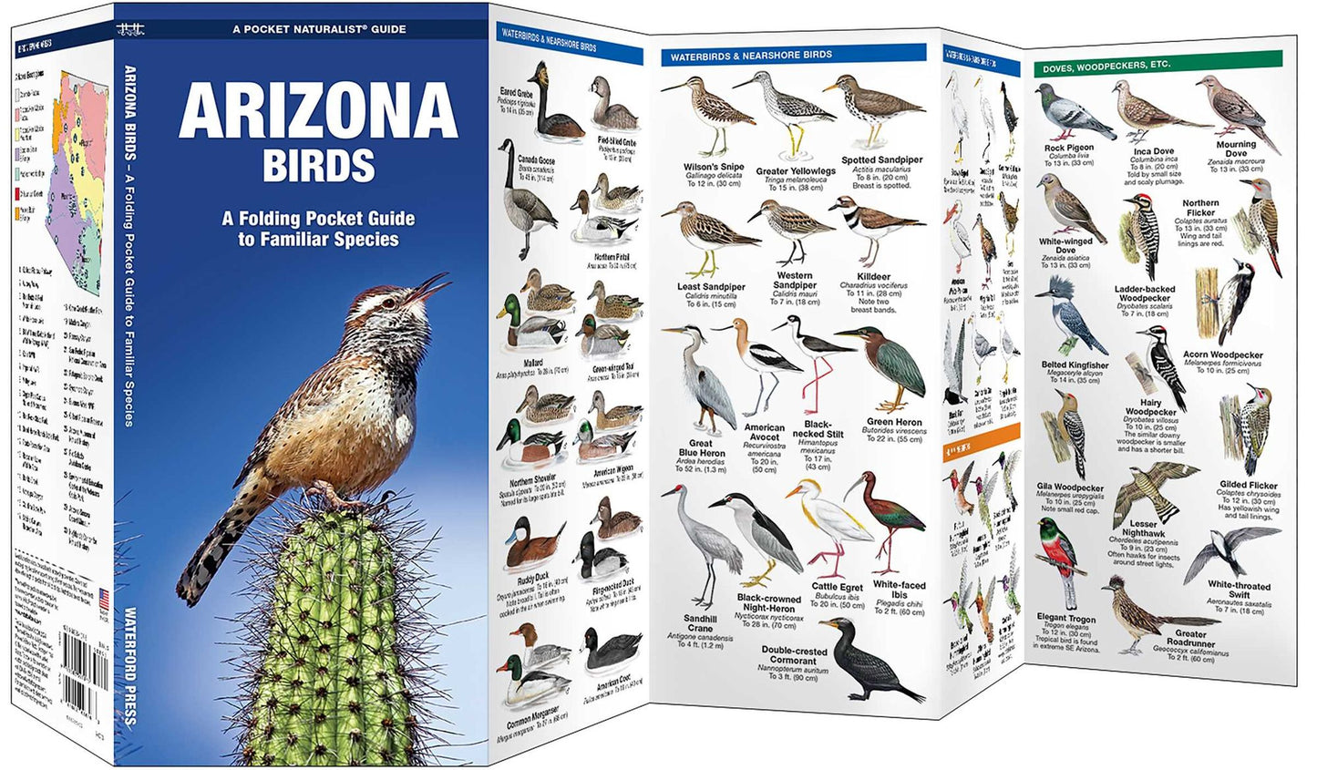 Pocket Naturalist: Arizona Birds
