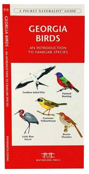 Georgia Birds: An Introduction to Familiar Species