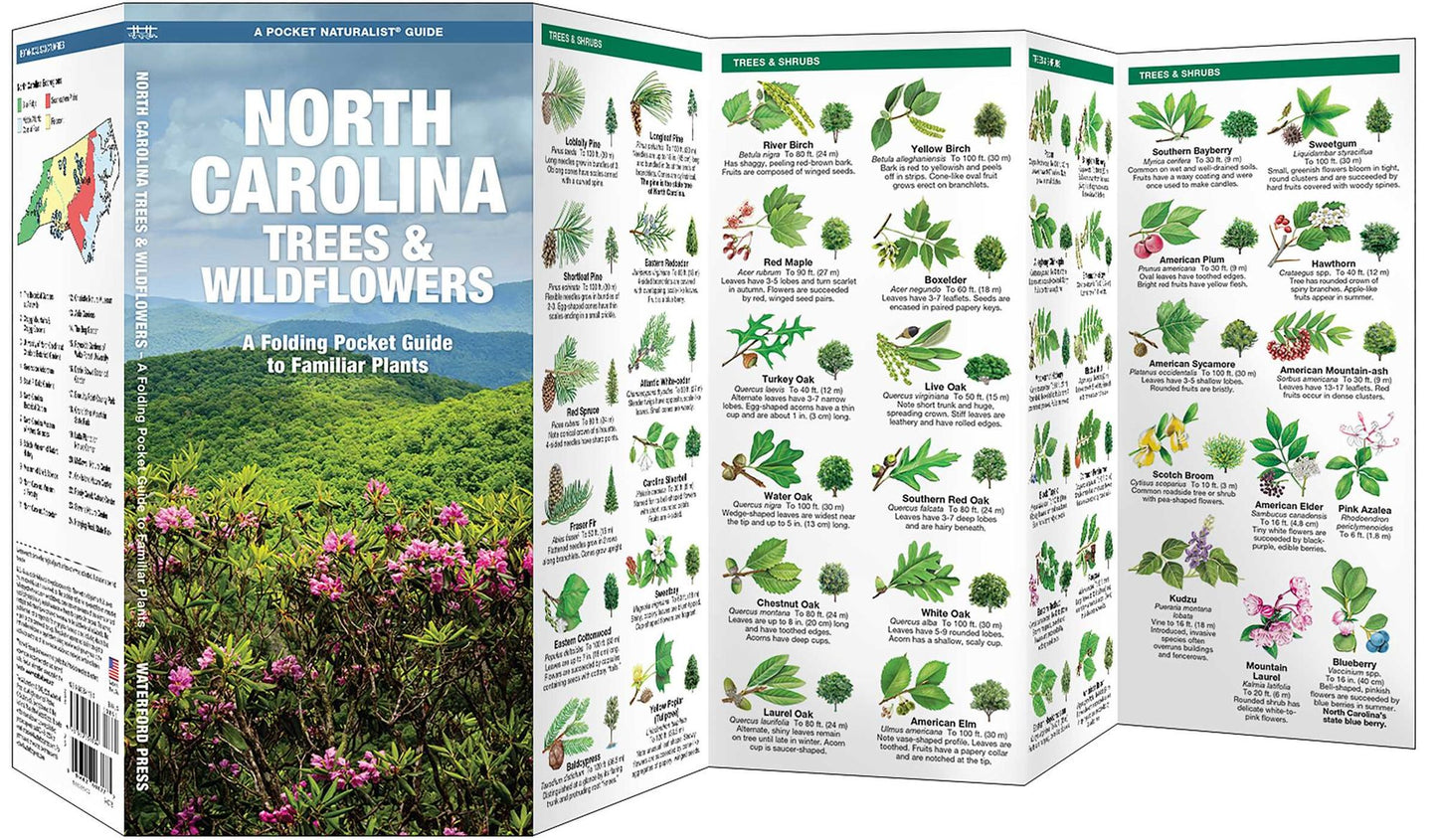 North Carolina Trees & Wildflowers