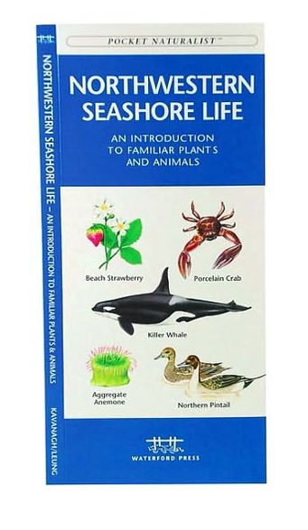 Pocket Naturalists Guide to Northwestern Seashore Life