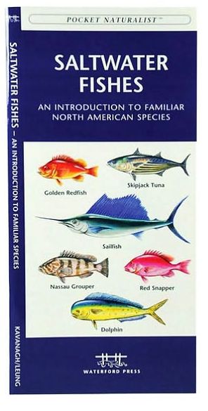 Saltwater Fishes