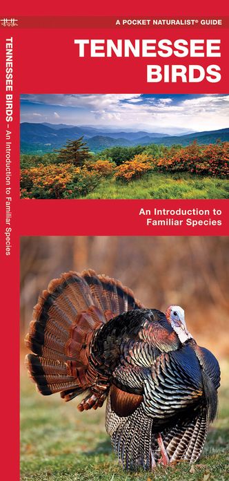 Tennessee Birds