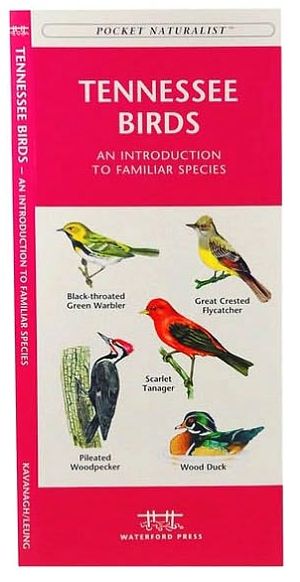 Tennessee Birds
