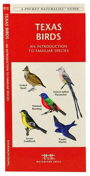 Texas Birds