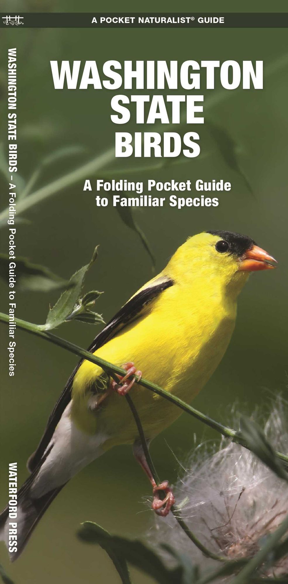 Pocket Naturalists Guide to Washington Birds