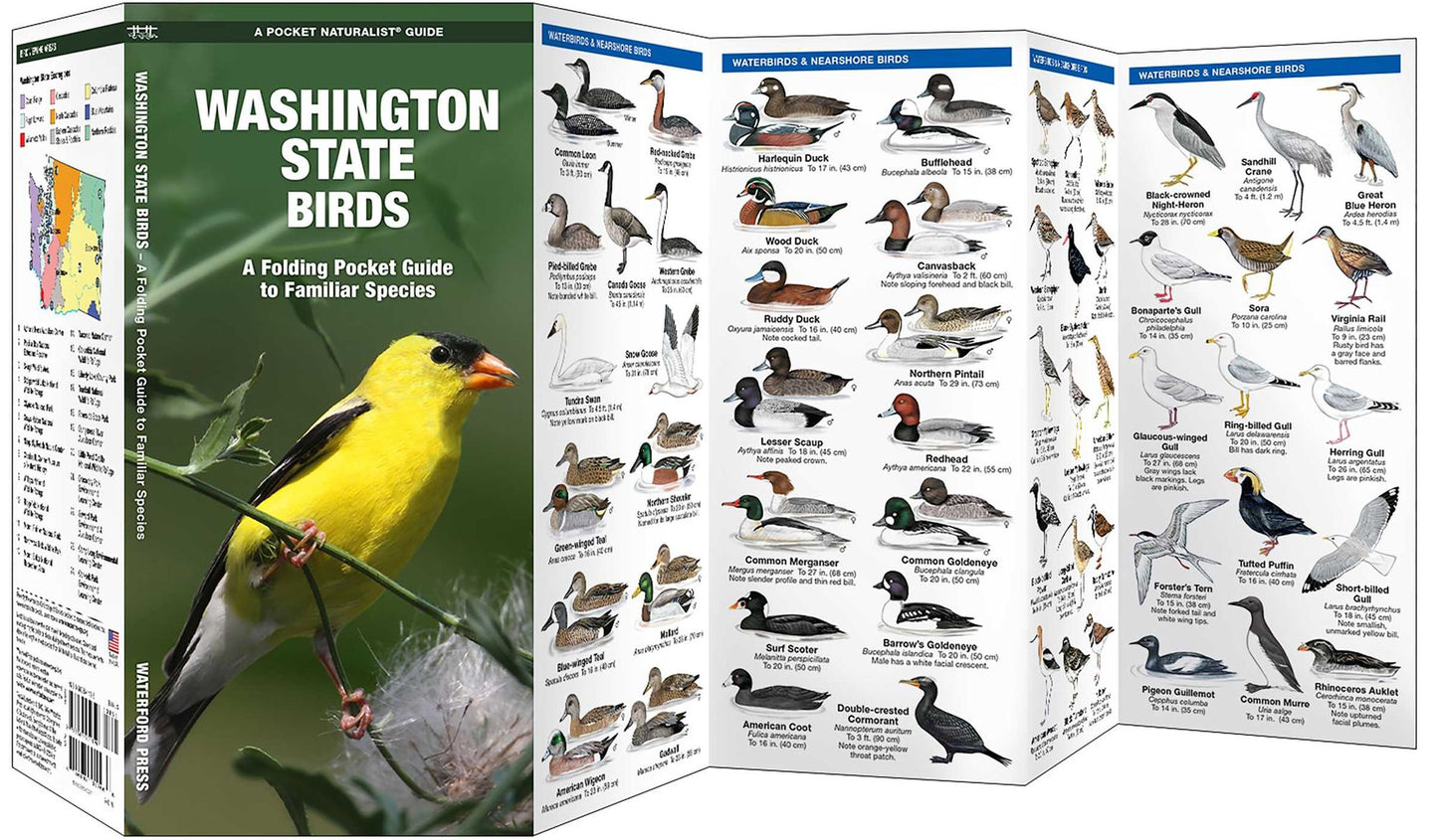 Pocket Naturalists Guide to Washington Birds