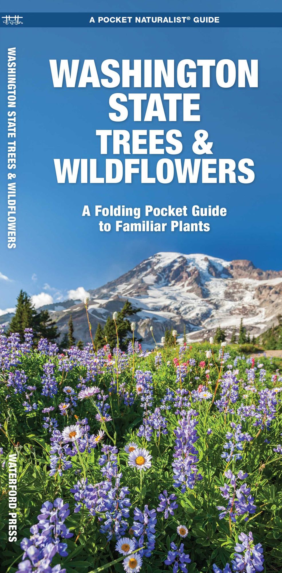Pocket Naturalists Guide to Washington Trees & Wildflowers