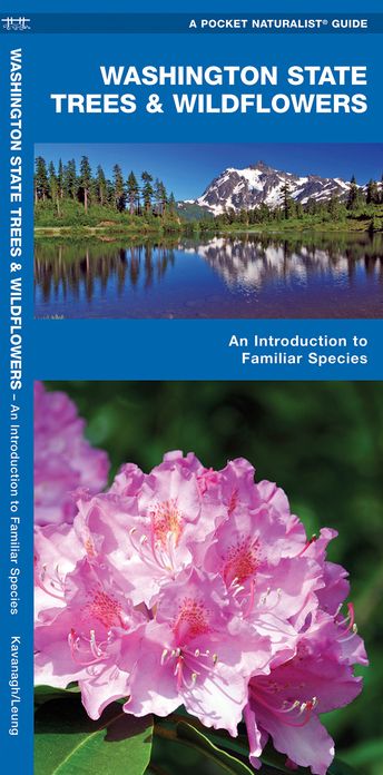 Pocket Naturalists Guide to Washington Trees & Wildflowers