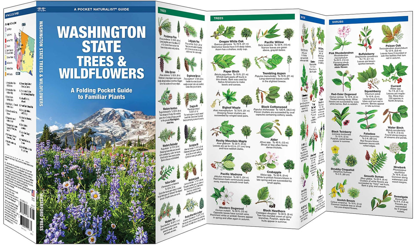 Pocket Naturalists Guide to Washington Trees & Wildflowers