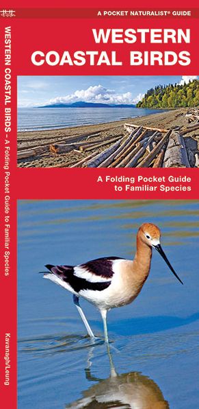 Pocket Naturalist: Western Coastal Birds