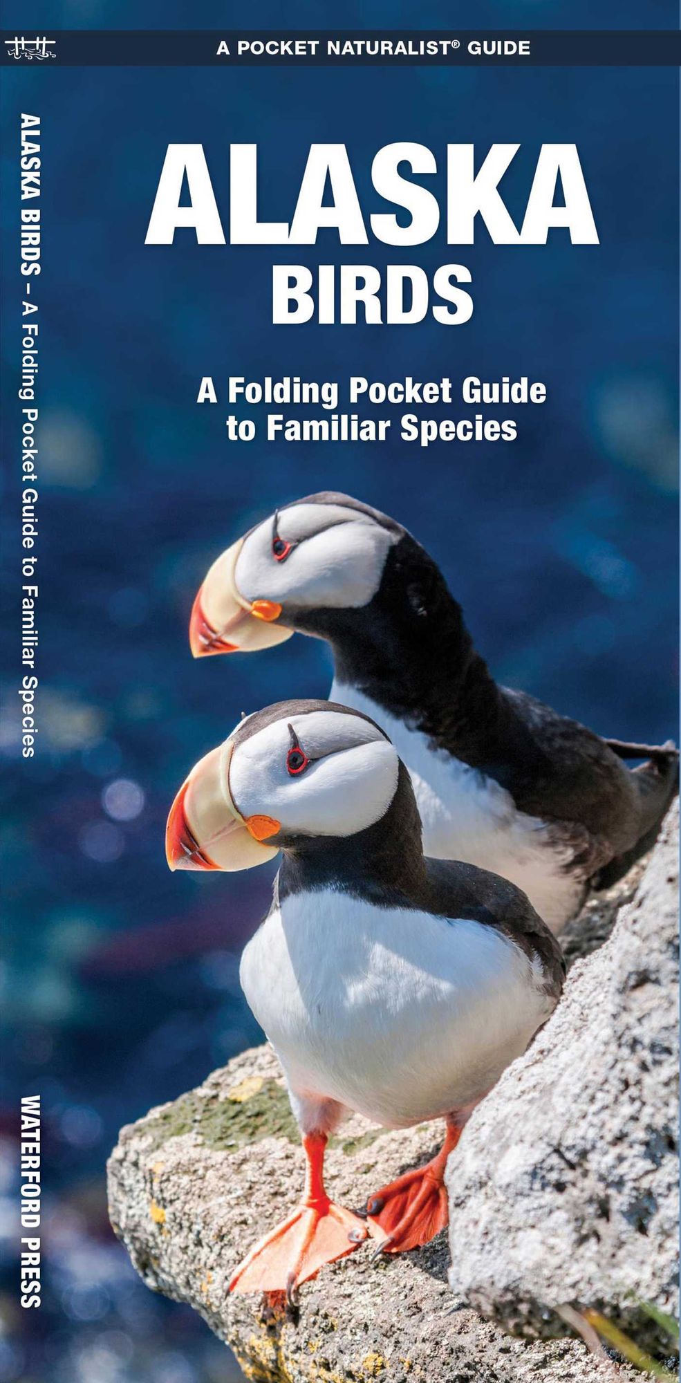 Pocket Naturalist Guide to Alaska Birds: An Introduction to Familiar Species