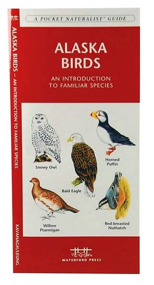 Pocket Naturalist Guide to Alaska Birds: An Introduction to Familiar Species