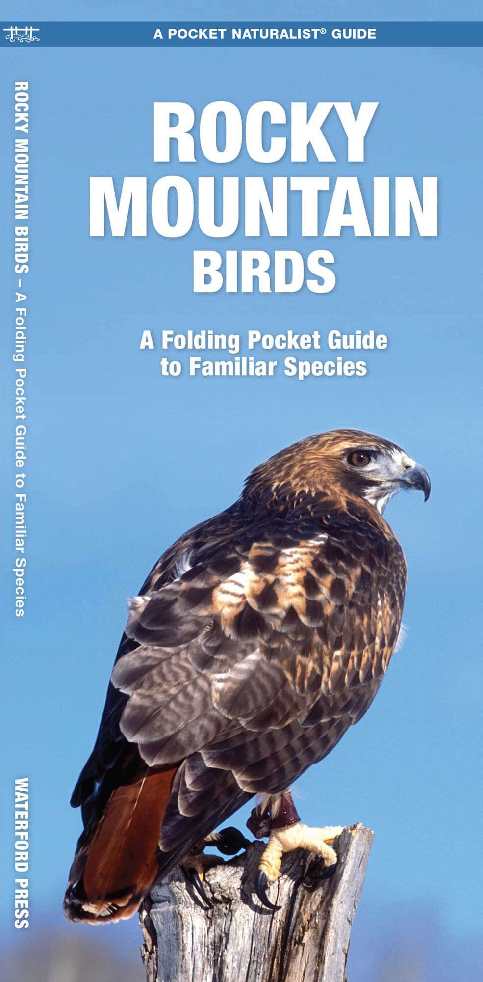 Rocky Mountain Birds: An Introduction to Familiar Species