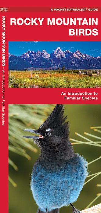 Rocky Mountain Birds: An Introduction to Familiar Species