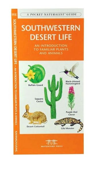 Southwestern Desert Life