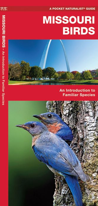 Missouri Birds