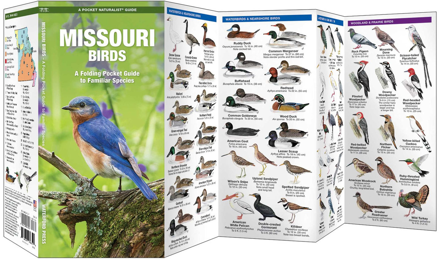 Missouri Birds