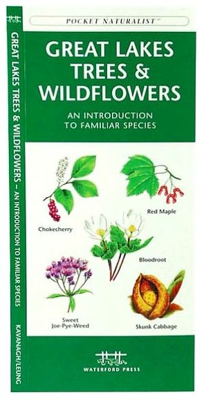 Great Lakes Trees & Wildflowers