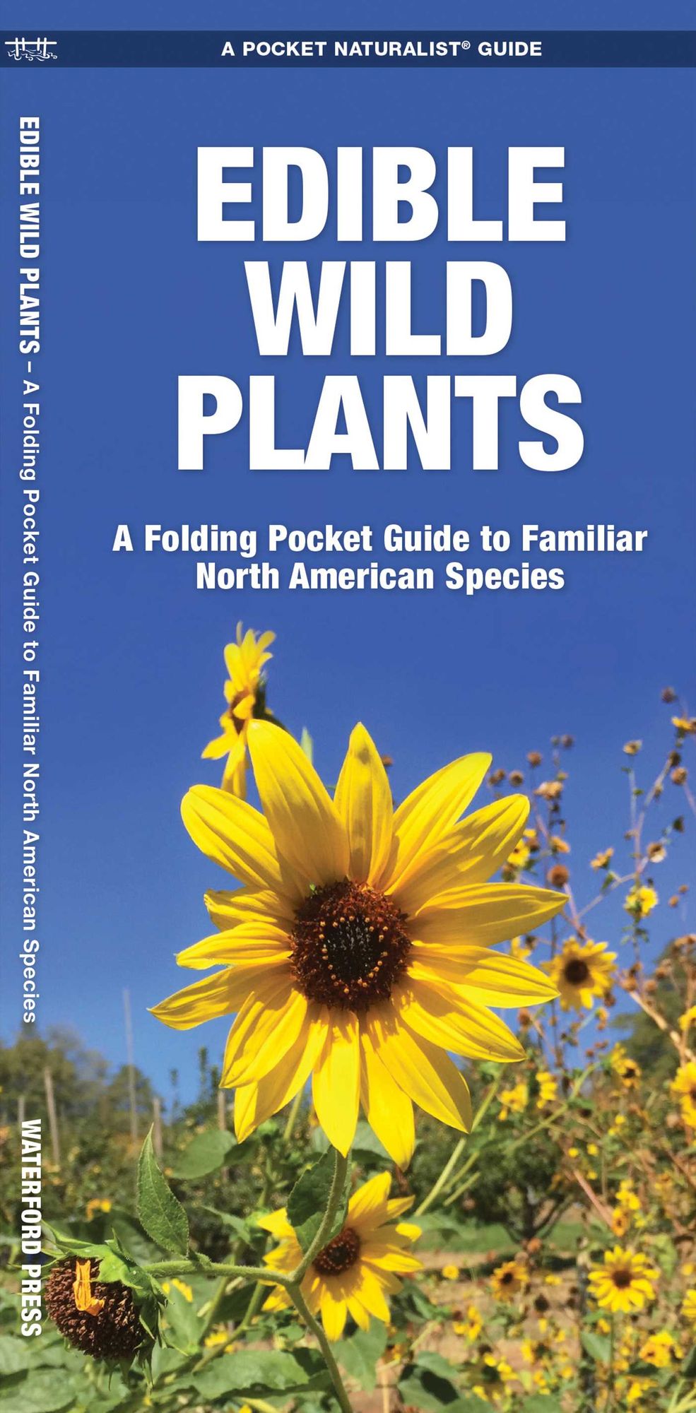 Edible Wild Plants: An Introduction to Familiar North American Species
