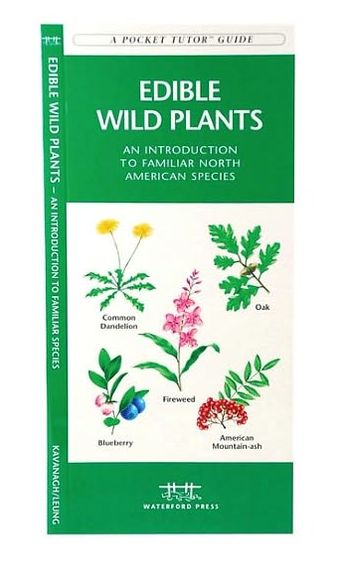 Edible Wild Plants: An Introduction to Familiar North American Species