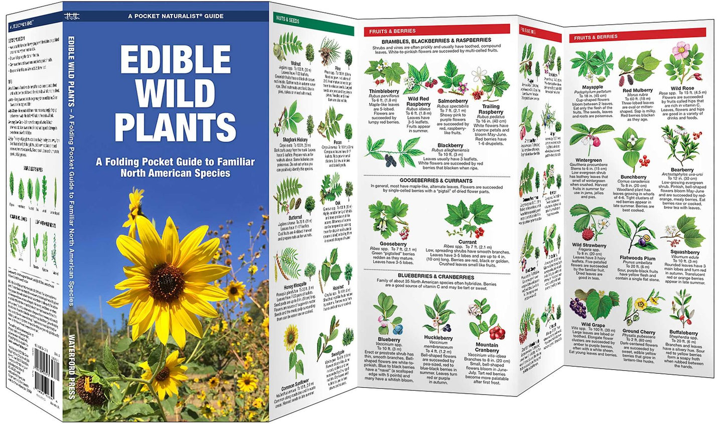 Edible Wild Plants: An Introduction to Familiar North American Species