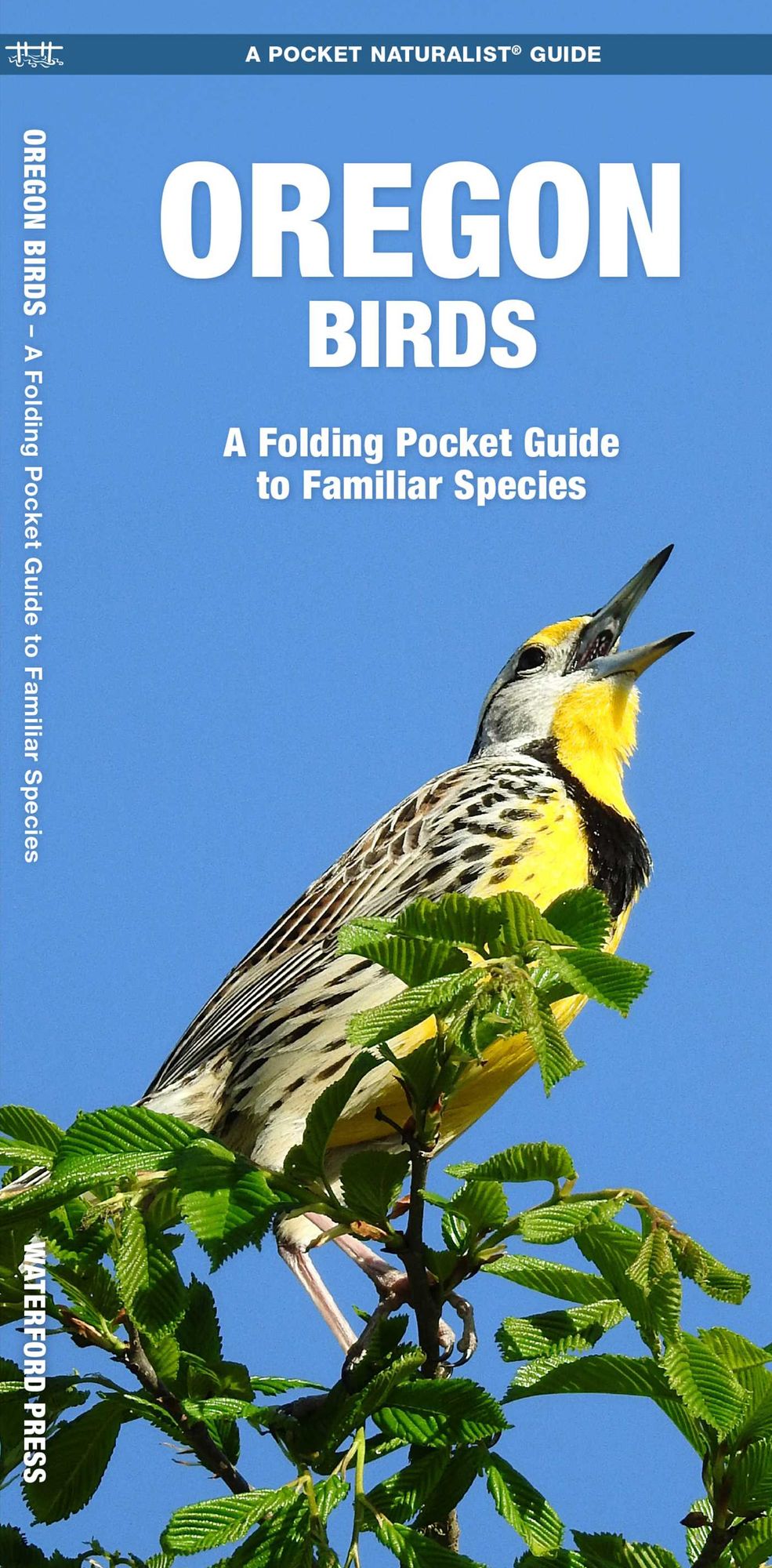 Pocket Naturalists Guide to Oregon Birds
