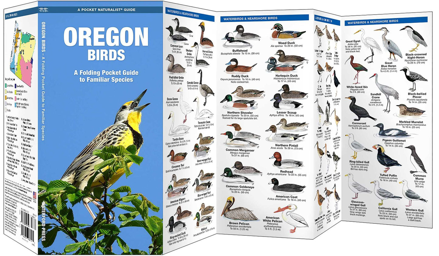Pocket Naturalists Guide to Oregon Birds