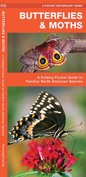 Butterflies & Moths of North America