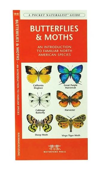 Butterflies & Moths of North America