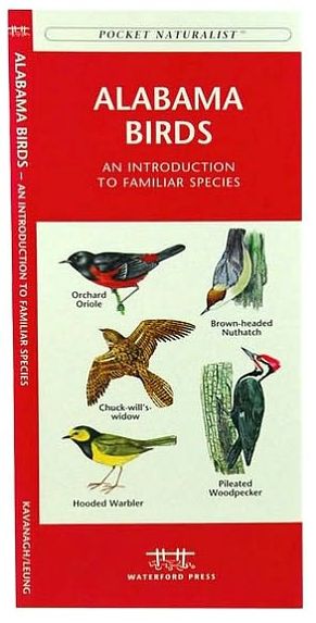 Alabama Birds: An Introduction to Familiar Species