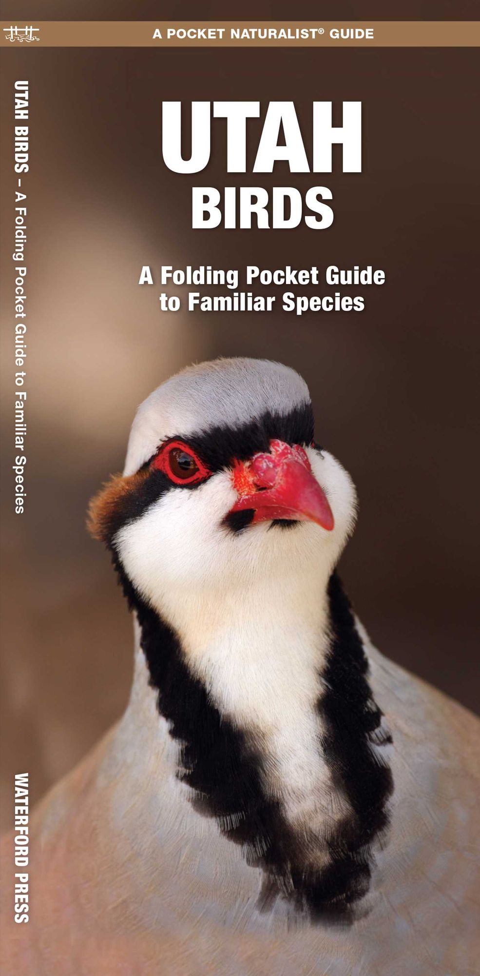 Pocket Naturalist: Utah Birds