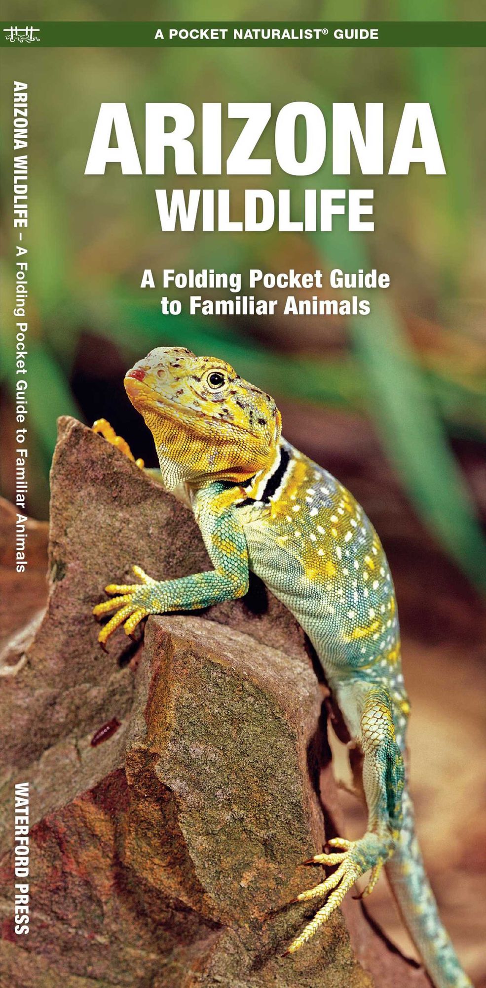 Pocket Naturalist: Arizona Wildlife, An Introduction to Familiar Species