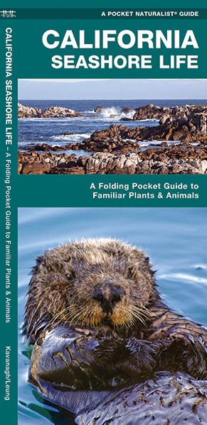 Pocket Naturalist: California Seashore Life
