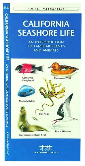 Pocket Naturalist: California Seashore Life