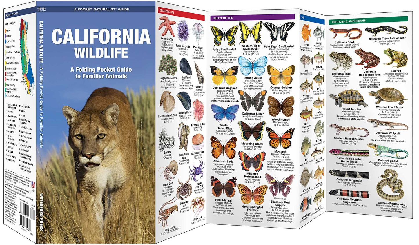 Pocket Naturalist: California Wildlife